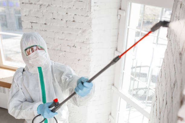 Why You Should Choose Our Mold Remediation Services in Cottonwood, AL